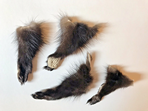 Fourrures pattes vison - 4,