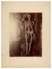 France, Château de Cysoing