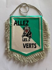 AS Saint Etienne ASSE fanion