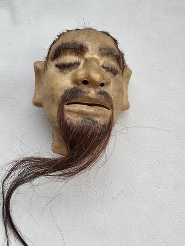Tête jivaro shuar réduite - tête,