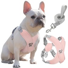 Harnais pour Chiens avec