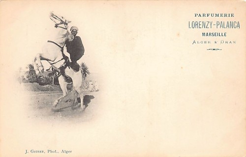 Algérie carte publicitaire - -,