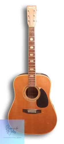 Suzuki violin acoustic guitar - suzuki,