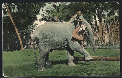 Carte postale climbing the - carte,