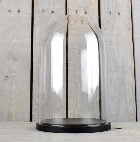 Cloche verre moyen avec - cloche, en
