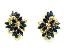 MAGNIFIQUE BOUCLES D'OREILLES