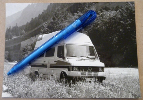 1981 westfalia james cook - 1981,