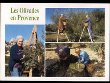 BARJOLS (83) OUVRIERS à la CUEILLETTE , RECOLTE d'OLIVES / OLIVADES en 1994
