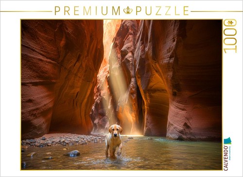 CALVENDO Puzzle Nasse Pfoten