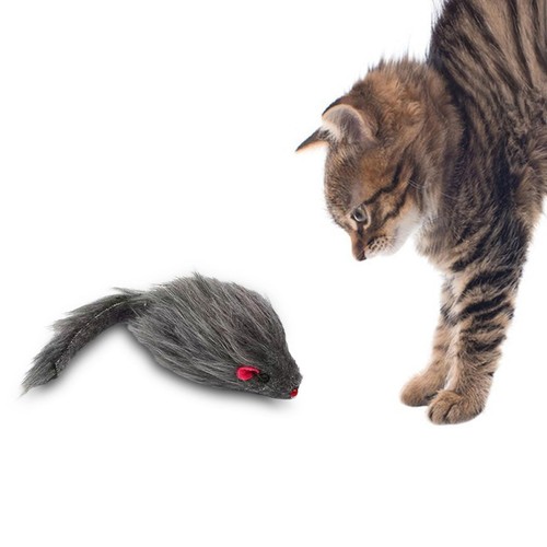 Souris jouet - souris,