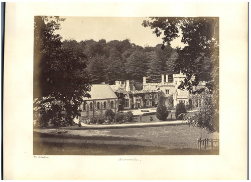 Collodion luscombe vintage - luscombe,