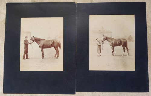 Lot photo militaire - lot,