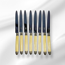 SÉRIE DE 8 GRANDS COUTEAUX