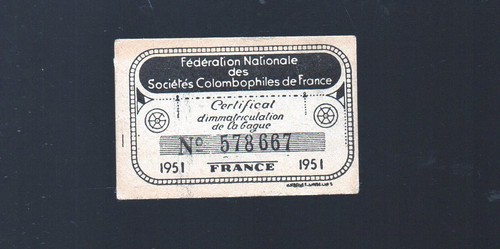 Vieux papiers colombophilie - vieux,