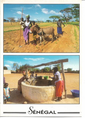 Senegal scènes villageoises - senegal,