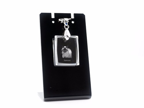 Collier cristal pour chat - en,