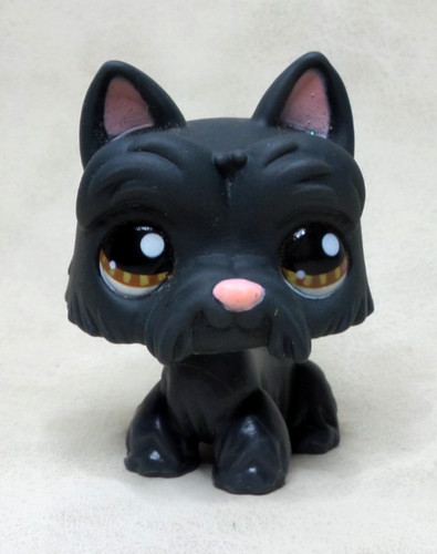 Littlest pet shop petshop - littlest,