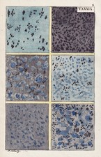 Lave Pierre Ponctuée De