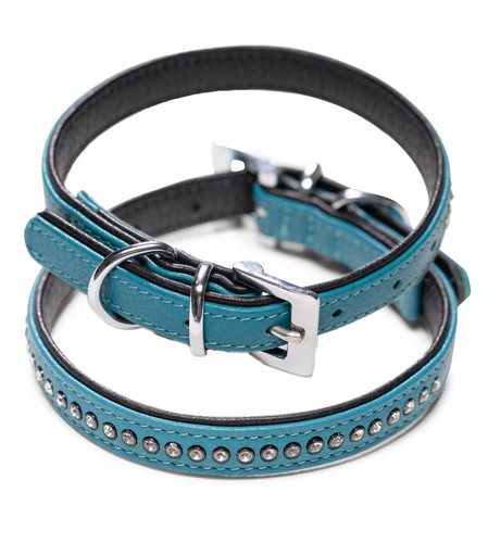 Collier pour chien cuir - collier,