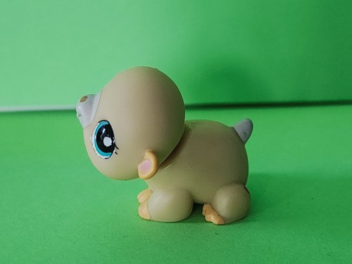 Authentic lps littlest pet - littlest,