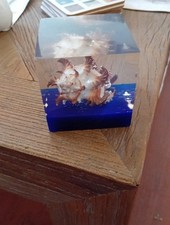 Presse Papier Resine Coquillage Ancien Vintage Pierre Giraudon?