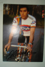 Cyclisme carte Eddy MERCKX   C