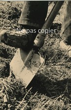 Bêchage par Albert MONIER