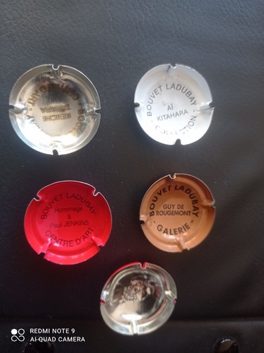 Bouvet caps différentes - bouvet, 5