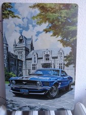 TOLE METAL 20 X 30 CMS MUSTANG