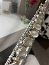 Trevor James Flute 10xE