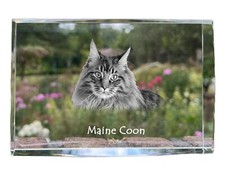 Maine Coon cristal avec un chat Art-Dog