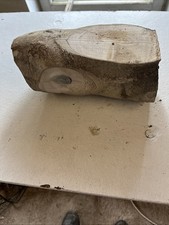 Bois De Houx Tournage