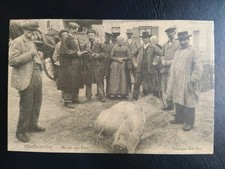 Carte postale Romorantin Au Marché Aux Porcs 🐷 N° 834 cécodi Réédition 