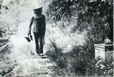 CPSM / PHOTO MALAUCENE / EXPOSITION APICOLE 1983 LE RUCHER DE NOUVELETTE VENTOUX