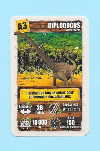 Carte ducale a3 - -,