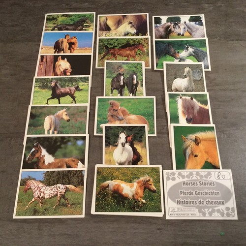 Histoires chevaux - de,