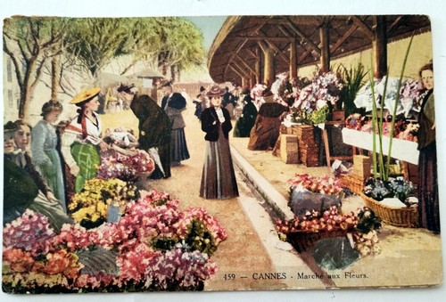 Cpa cannes marché aux fleurs - cpa,
