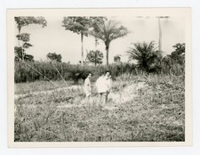 PHOTO amateur SNAPSHOT