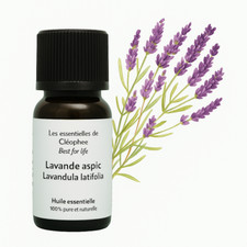 Huile essentielle de Lavande