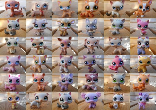 Lps littlest petshop - pet, shop