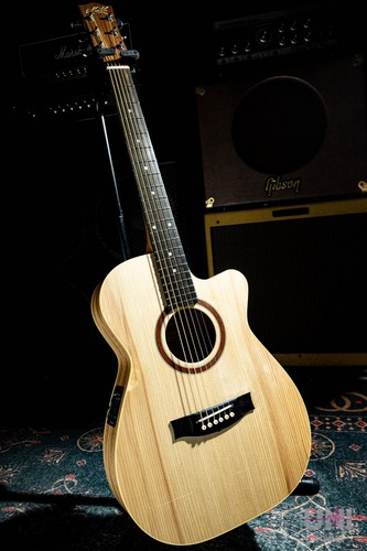 Maton performer - performer, (no260529)
