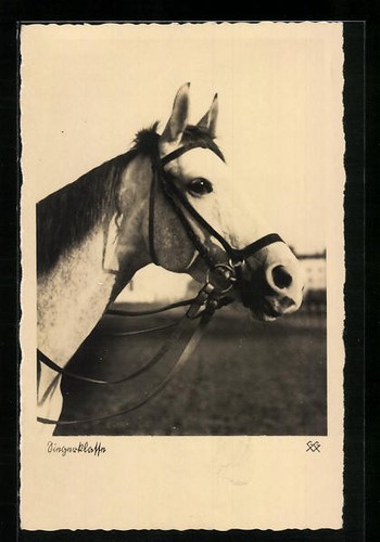 Classe gagnante moisissure - moisissure, de