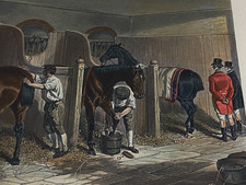 Gravure anglaise Fores's Stable Scenes The Hunting Stud Papprill Herring Cheval
