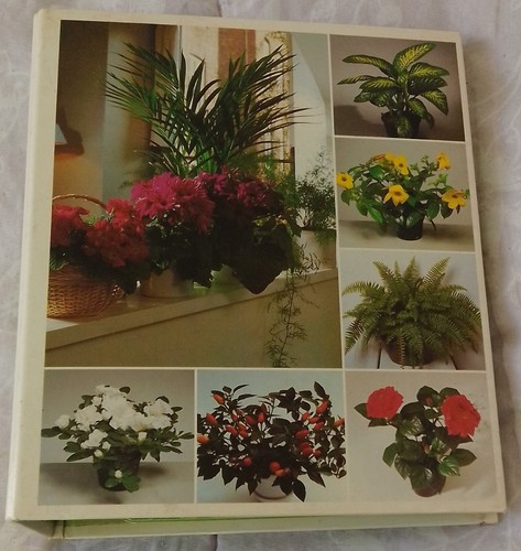 Soins beauté des plantes - et,