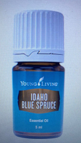 Young living épinette bleue - living,