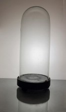 Globes de mariée XIXème /