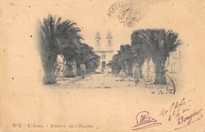 CPA ALGERIE L'ARBA AVENUE DE