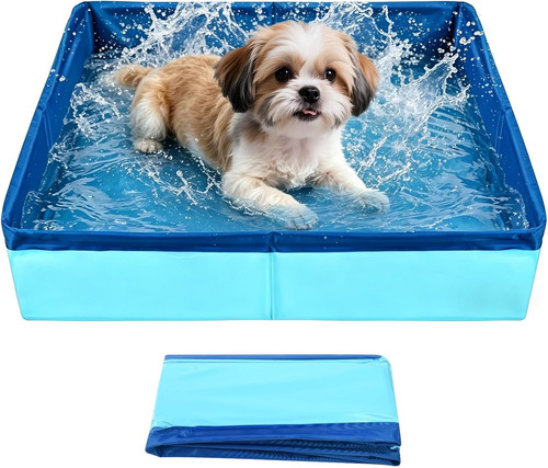 Piscine chien petite pliable - chien,
