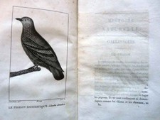 Ornithologie histoire - ornithologie,