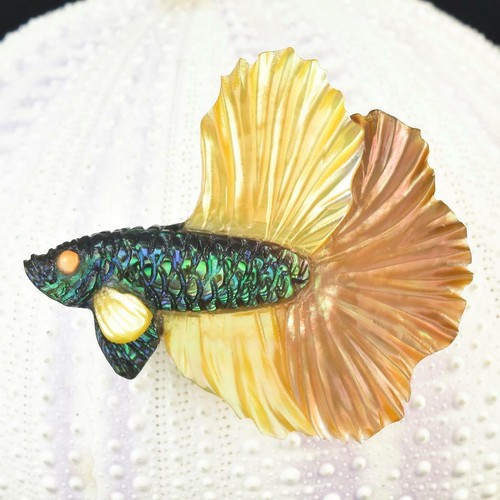 Siamois betta combattant - siamois,